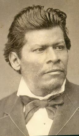 Retrato de Ignacio Manuel Altamirano