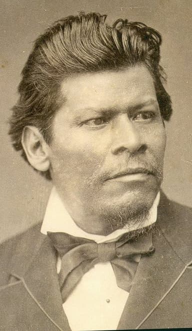 Retrato de Ignacio Manuel Altamirano